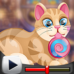 G4K Lovely Benevolent Cat Escape Game Walkthrough